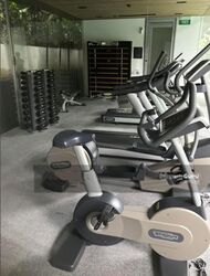 The Oliv (D10), Apartment #272147221